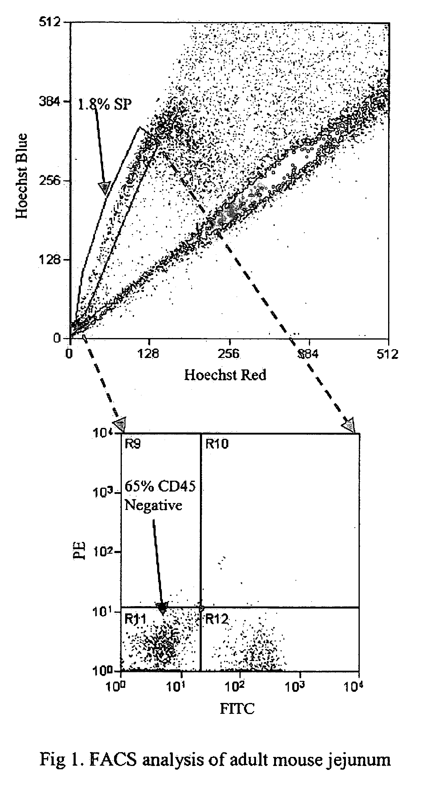 Gastrointestinal stem cells and uses thereof