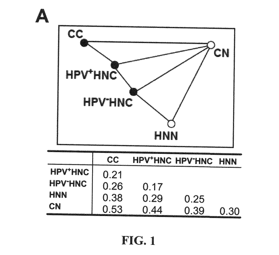 Biomarkers for human papilloma virus-associated cancer