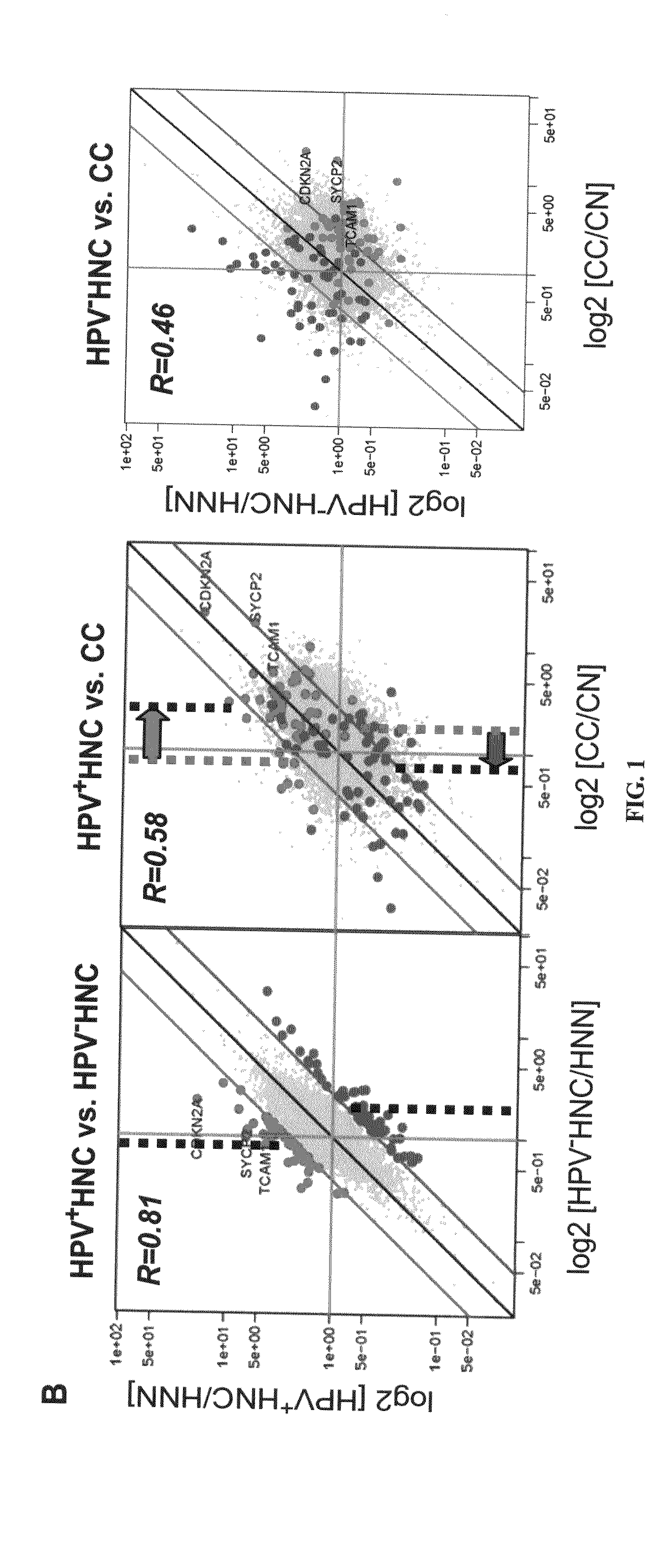 Biomarkers for human papilloma virus-associated cancer