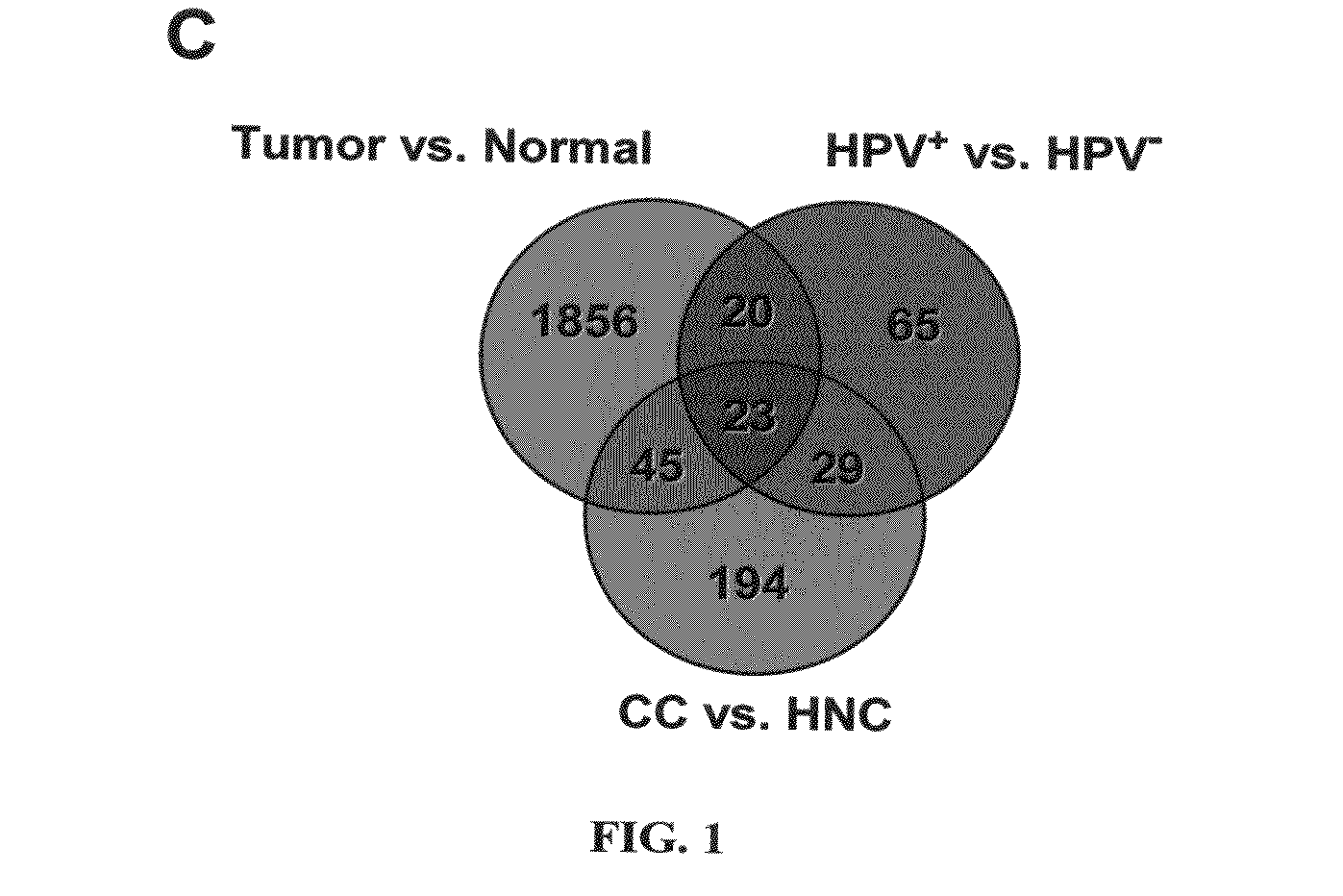 Biomarkers for human papilloma virus-associated cancer