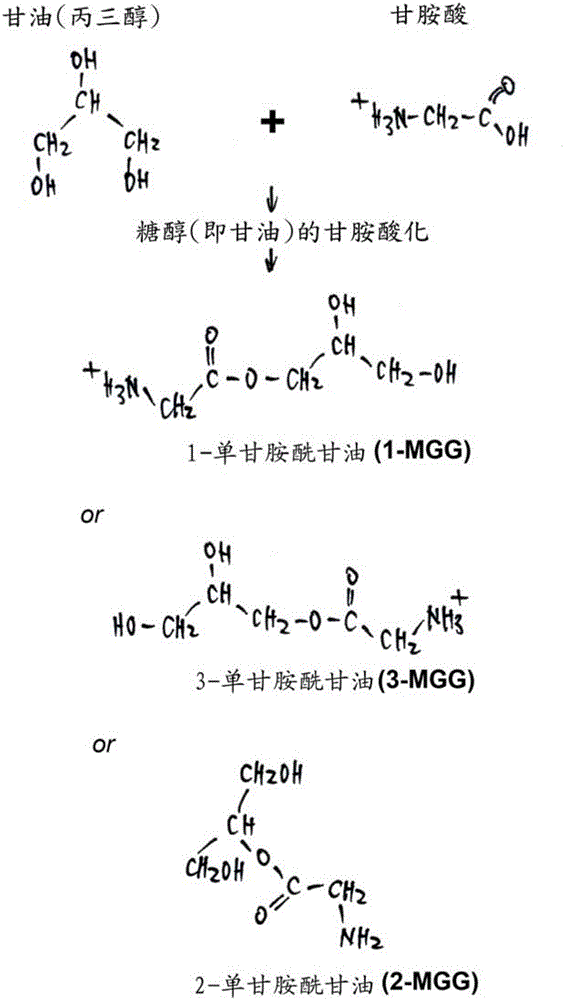 Monosaccharide-like glycylated sugar alcohol compositions for use as anti-diabetic drugs