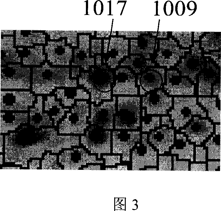 Aminoacylase 1 and application for examining liver cancer by antibody of same