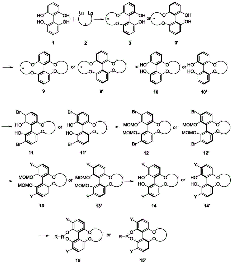 Phosphoramidite ligand as well as preparation method and application thereof