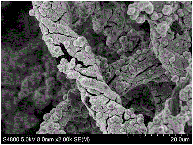 Preparation method and application of carbon fiber based nickel hydroxide composite material