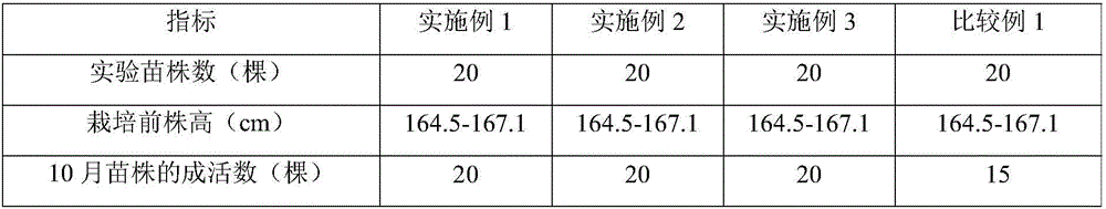 Synergist for increasing stock growing survival rate and preparing method and application thereof