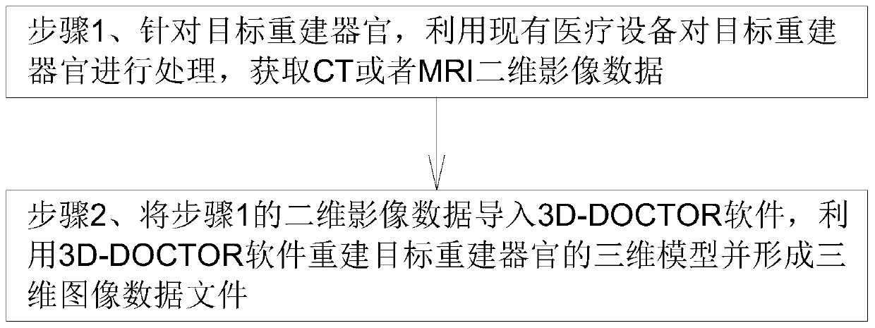 Organ three-dimensional image reconstruction method, operation navigation method and operation auxiliary system