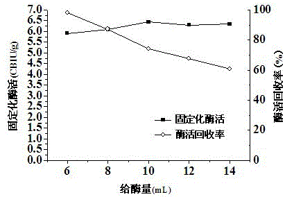 Method for immobilizing beta-glucosidase and hydrolyzing straw cellulose by cooperating beta-glucosidase with cellulase