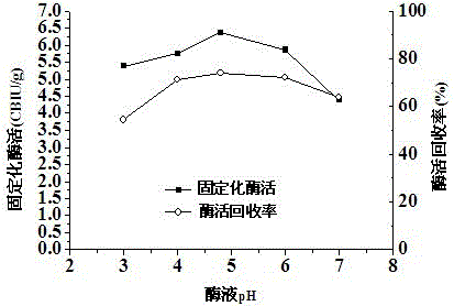 Method for immobilizing beta-glucosidase and hydrolyzing straw cellulose by cooperating beta-glucosidase with cellulase