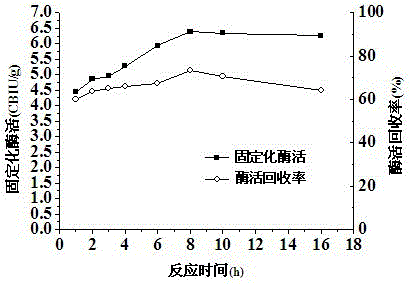 Method for immobilizing beta-glucosidase and hydrolyzing straw cellulose by cooperating beta-glucosidase with cellulase