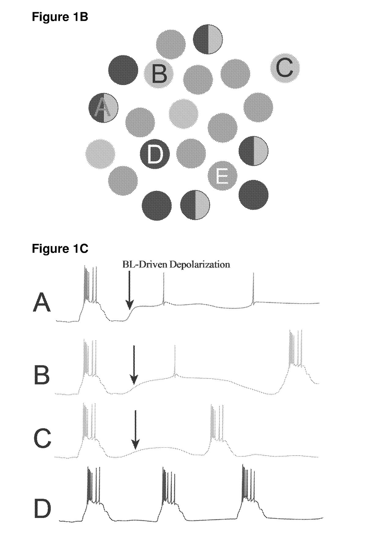 Minimally-invasive and activity-dependent control of excitable cells