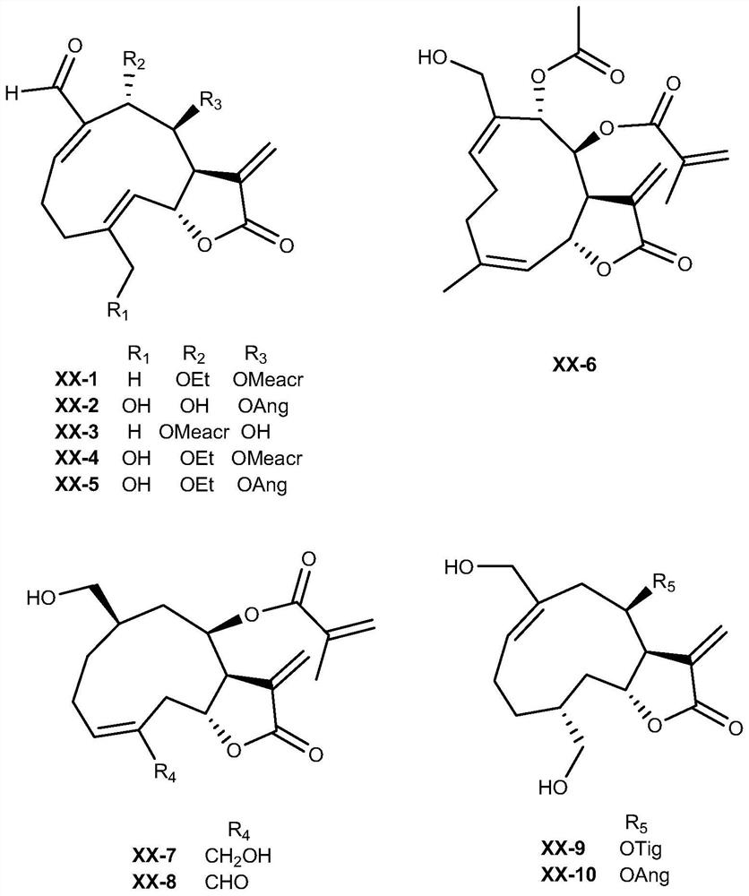 Germacrane type sesquiterpene lactone compound, and preparation method and application thereof