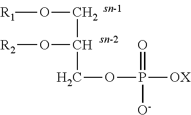 Serine glycerophospholipid preparation and method for treatment of seizures