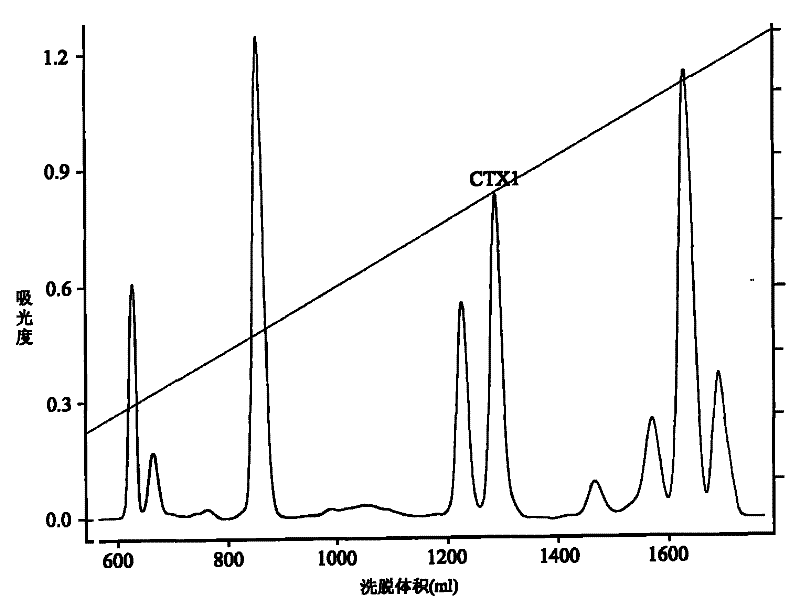 Application of cytotoxin (CTX1) from snake venom to preparation of medicament for rehabilitating