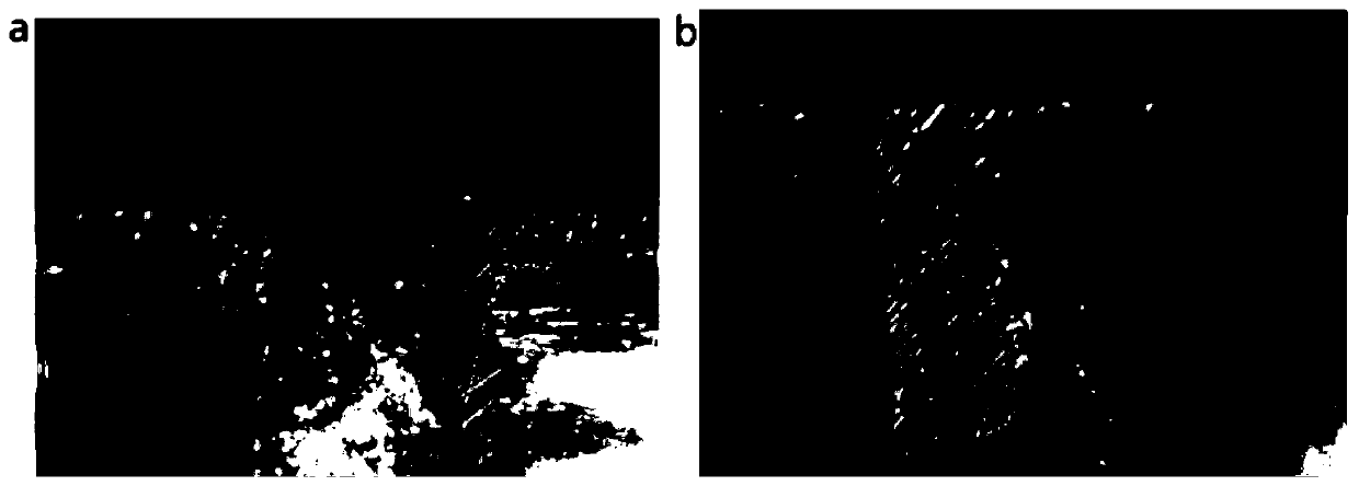 Copper-reducing micro-etching agent and preparation method thereof