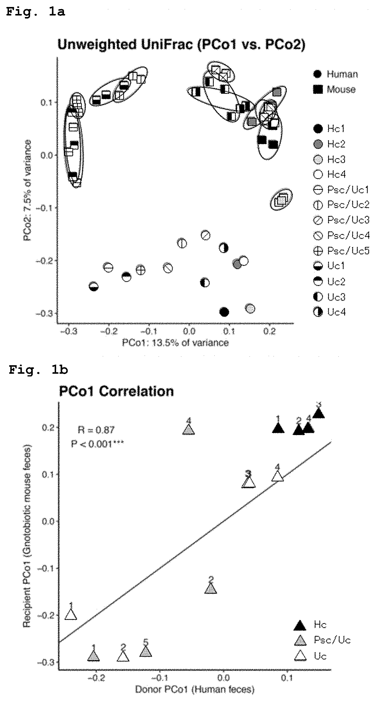 Klebsiella pneumoniae strain inducing inflammation in liver