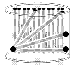 Comprehensive test phantom for controlling quality of diffusion tensor magnetic resonance imaging