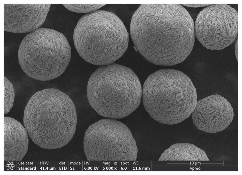 A b/mg co-doped high-nickel ternary precursor material, positive electrode material, and preparation method