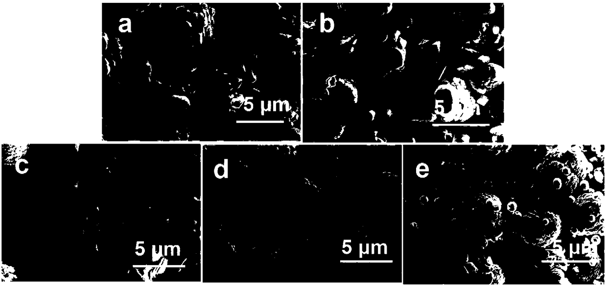 BiVO4/InVO4 heterojunction catalyst as well as preparation method and application of BiVO4/InVO4 heterojunction catalyst