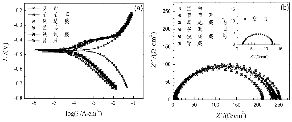 Preparation method and application of plant acid pickling corrosion inhibitor