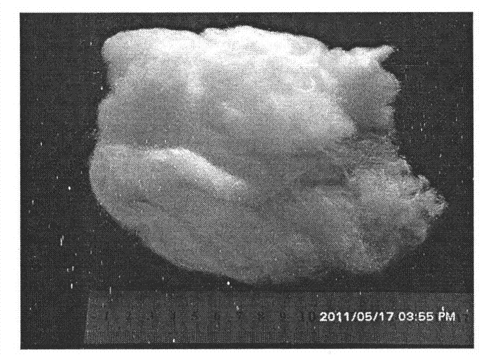 Preparation method of titanium dioxide fibers with photocatalysis function and polycrystalline nanostructure