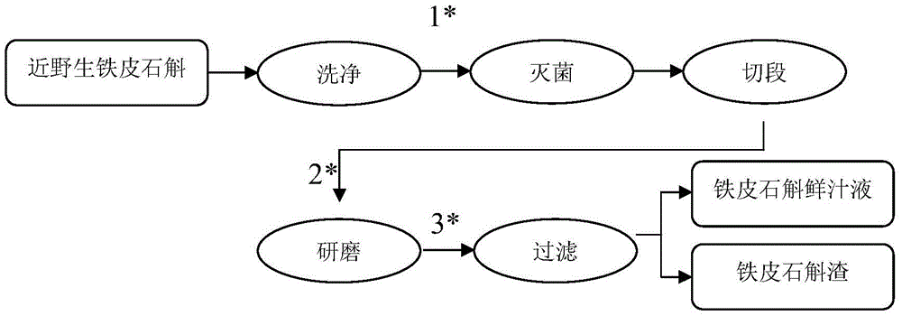 Formula of wild-like fresh Dendrobium officinale extract and preparation method thereof