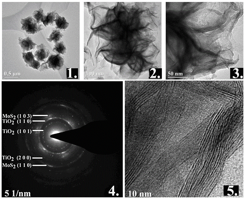 Semiconductor hydrogen production catalyst based on compounding of titanium dioxide and molybdenum sulfide, and preparation method and application thereof