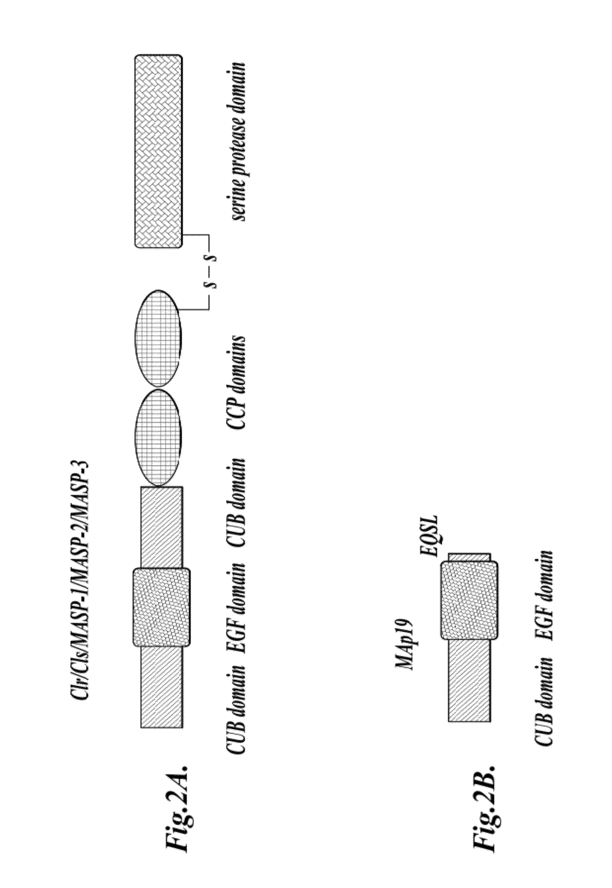 Methods for Treating Conditions Associated with MASP-2 Dependent Complement Activation