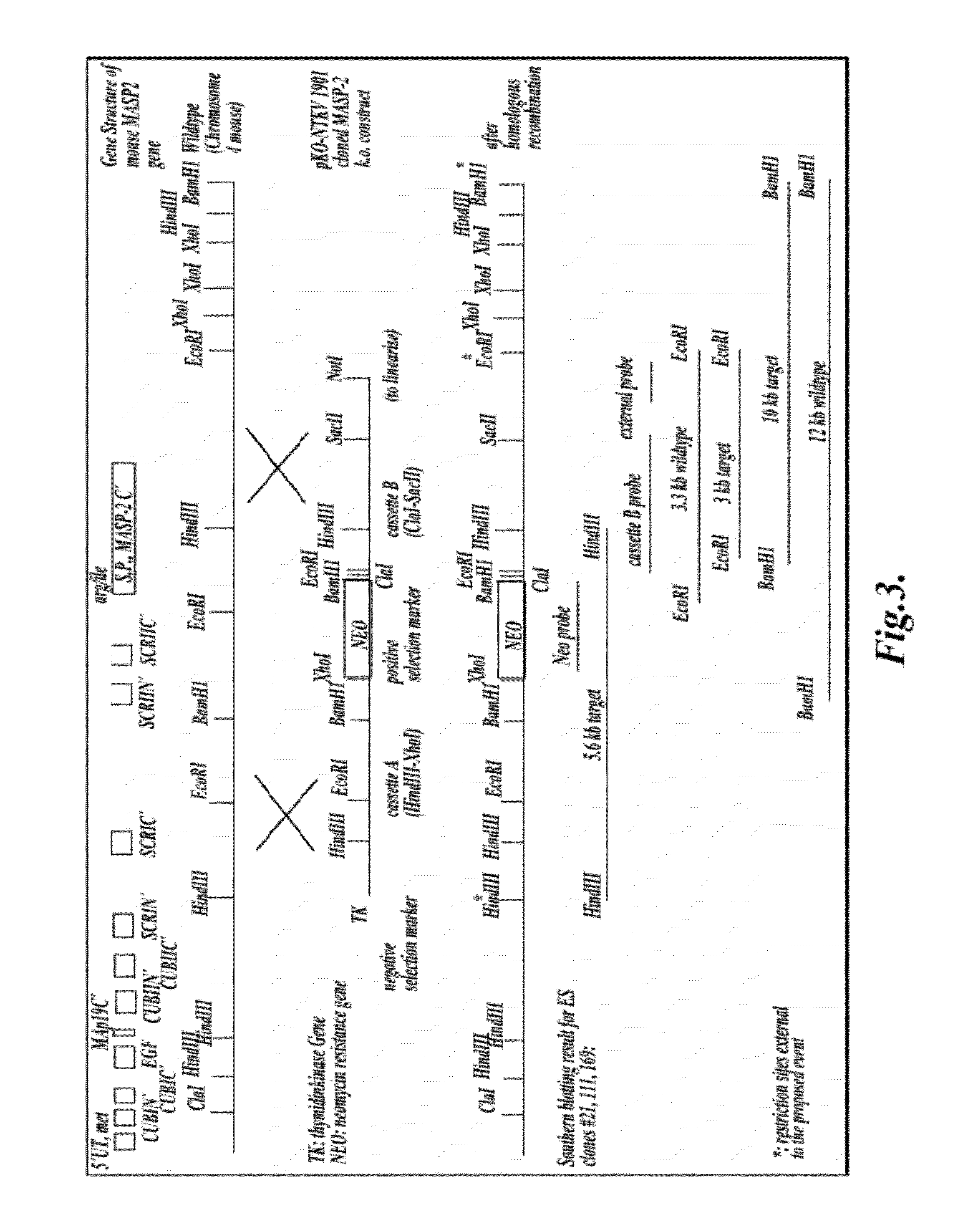 Methods for Treating Conditions Associated with MASP-2 Dependent Complement Activation