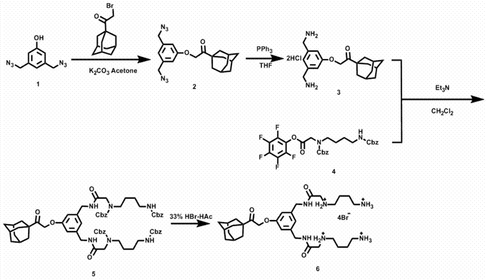 Supermolecular assembly for small interfering RNA targeting delivery and preparation method