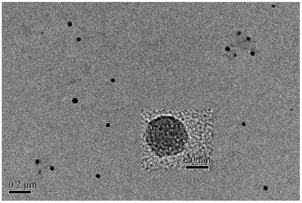 Supermolecular assembly for small interfering RNA targeting delivery and preparation method