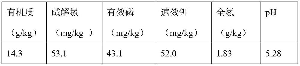 Acid soil remediation microbial inoculum and preparation method thereof