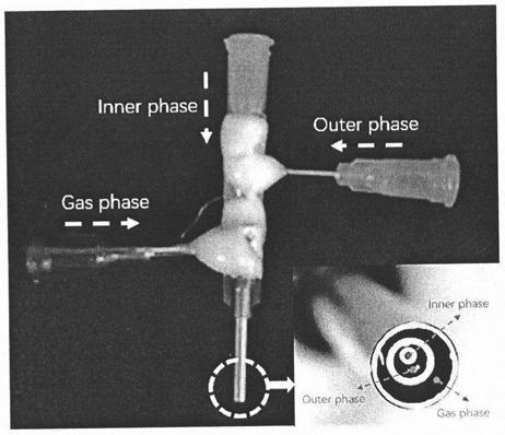 Preparation method of controllable multi-morphology microspheres