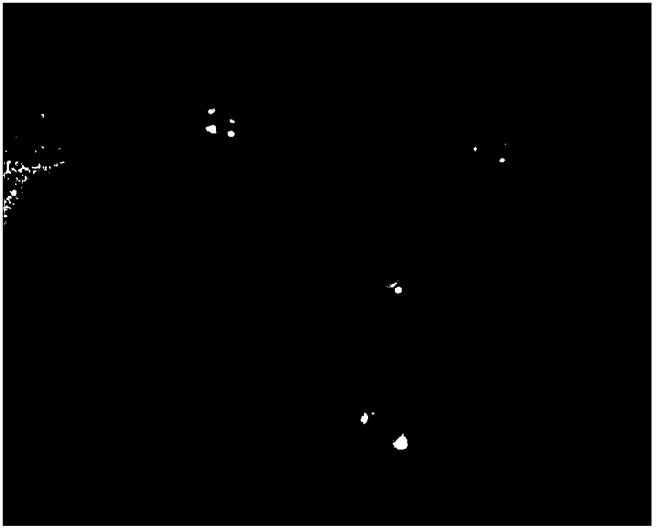 Transparent super-hydrophobic coating for preventing calligraphy and painting from being polluted as well as preparation method and application thereof