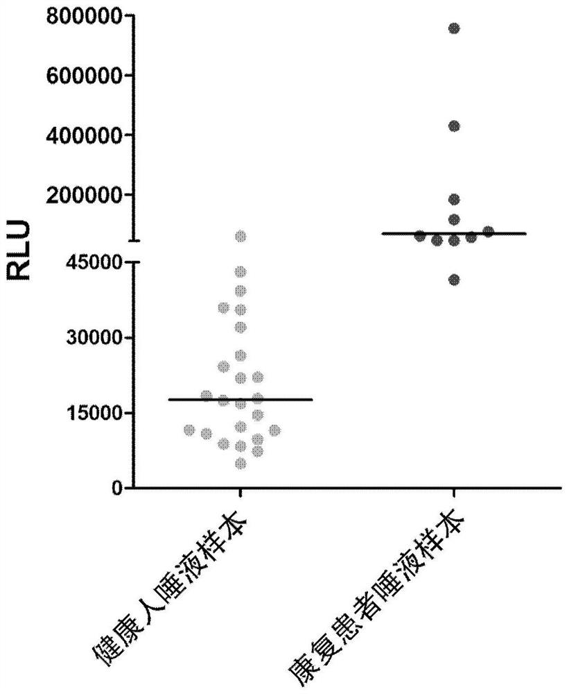 Method for diagnosing SARS-CoV-2 infection