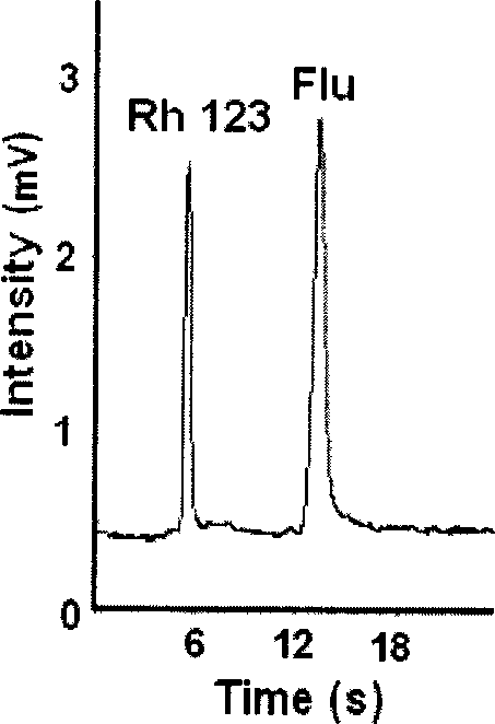 Micro flow control chip capillary electrophoresis negative pressure sampling method