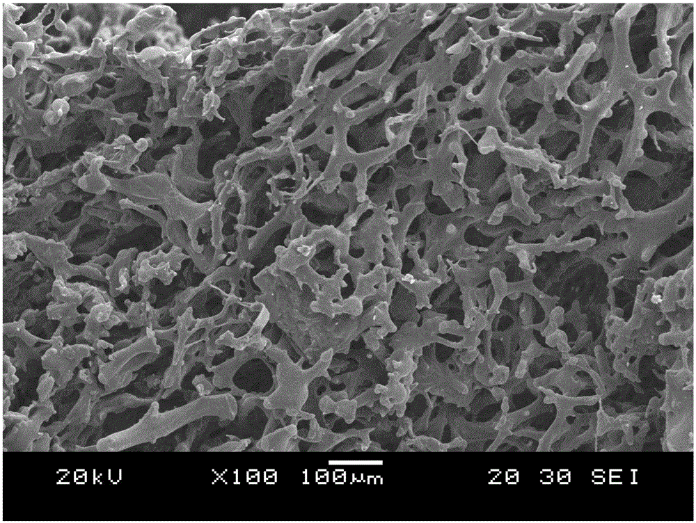 Chitosan-based plant leaf surface water evaporation retardant and preparation method thereof