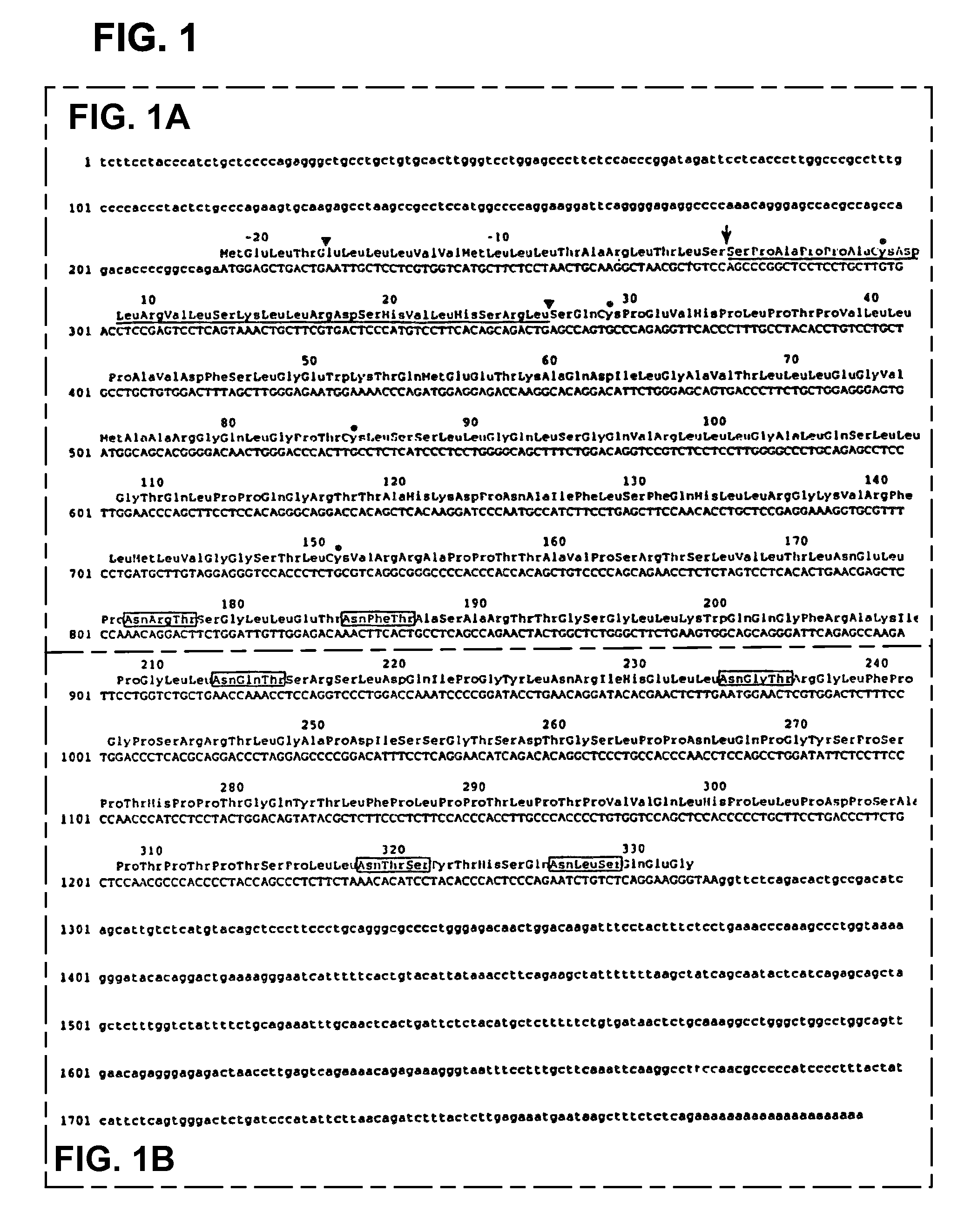 <i>mpl </i>ligand (thrombopoietin), active fragments thereof, and fusion proteins and compositions comprising <i>mpl </i>ligand and other cytokines