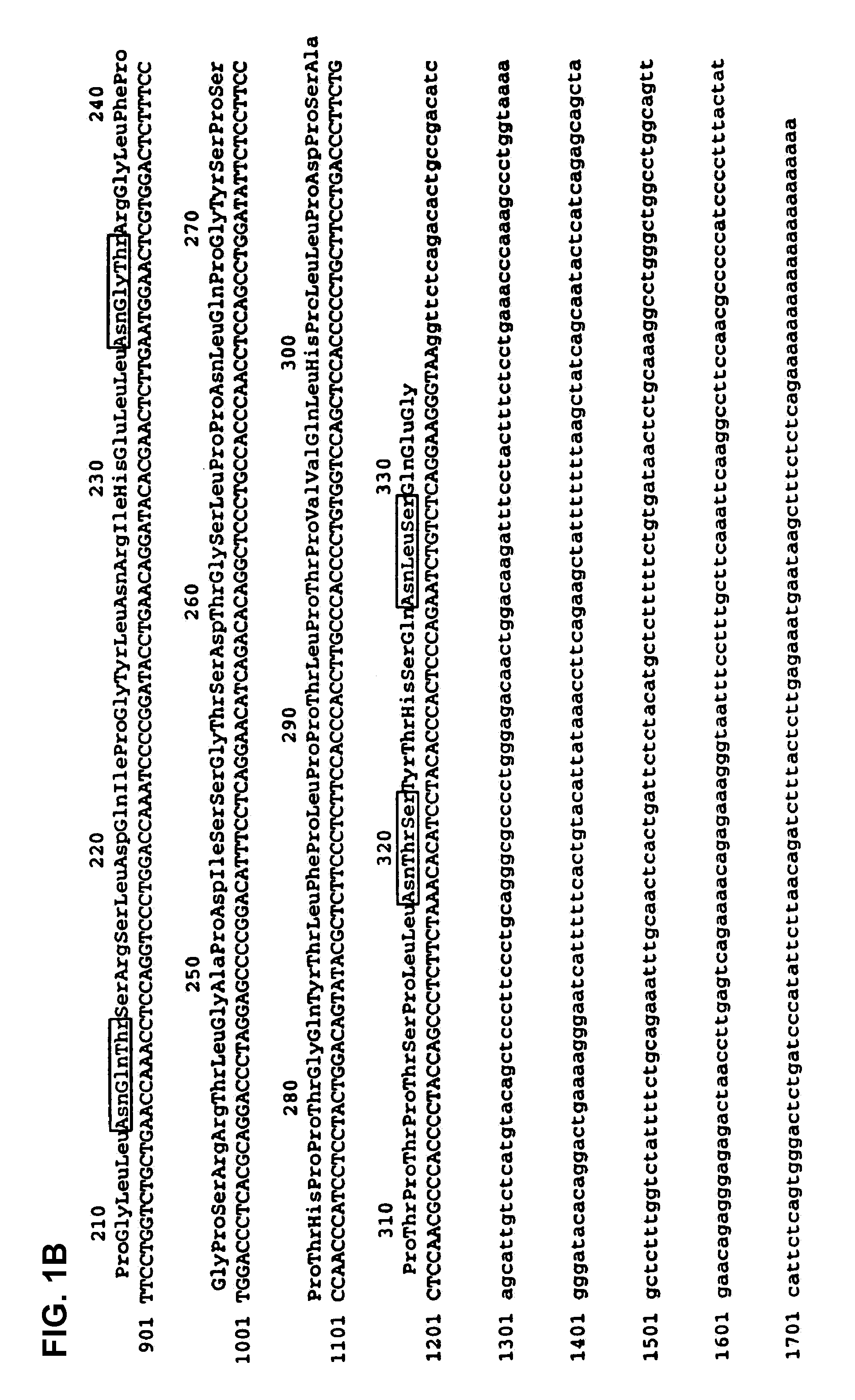 <i>mpl </i>ligand (thrombopoietin), active fragments thereof, and fusion proteins and compositions comprising <i>mpl </i>ligand and other cytokines