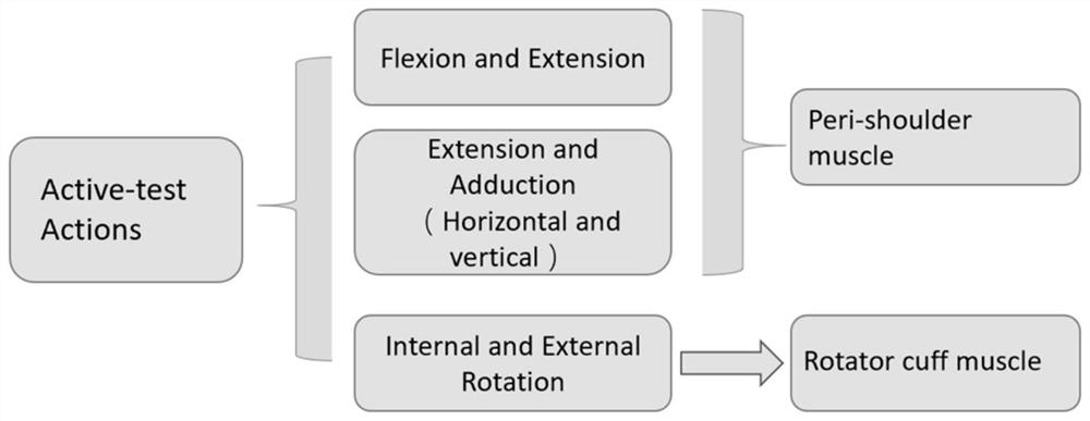 Equipment applied to examination, diagnosis and later rehabilitation of muscle injury based on optical motion capture equipment and artificial intelligence system