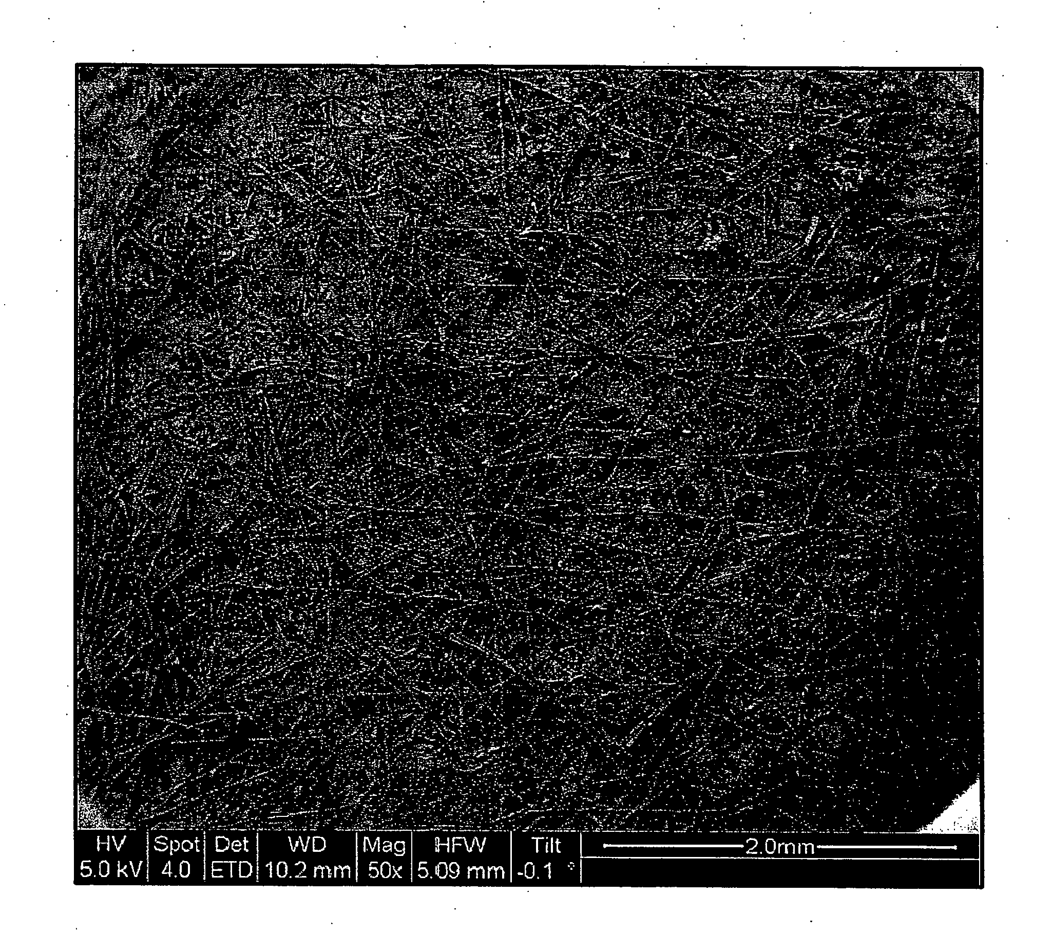 Acrylic fiber bonded carbon fiber paper as gas diffusion media for fuel cell