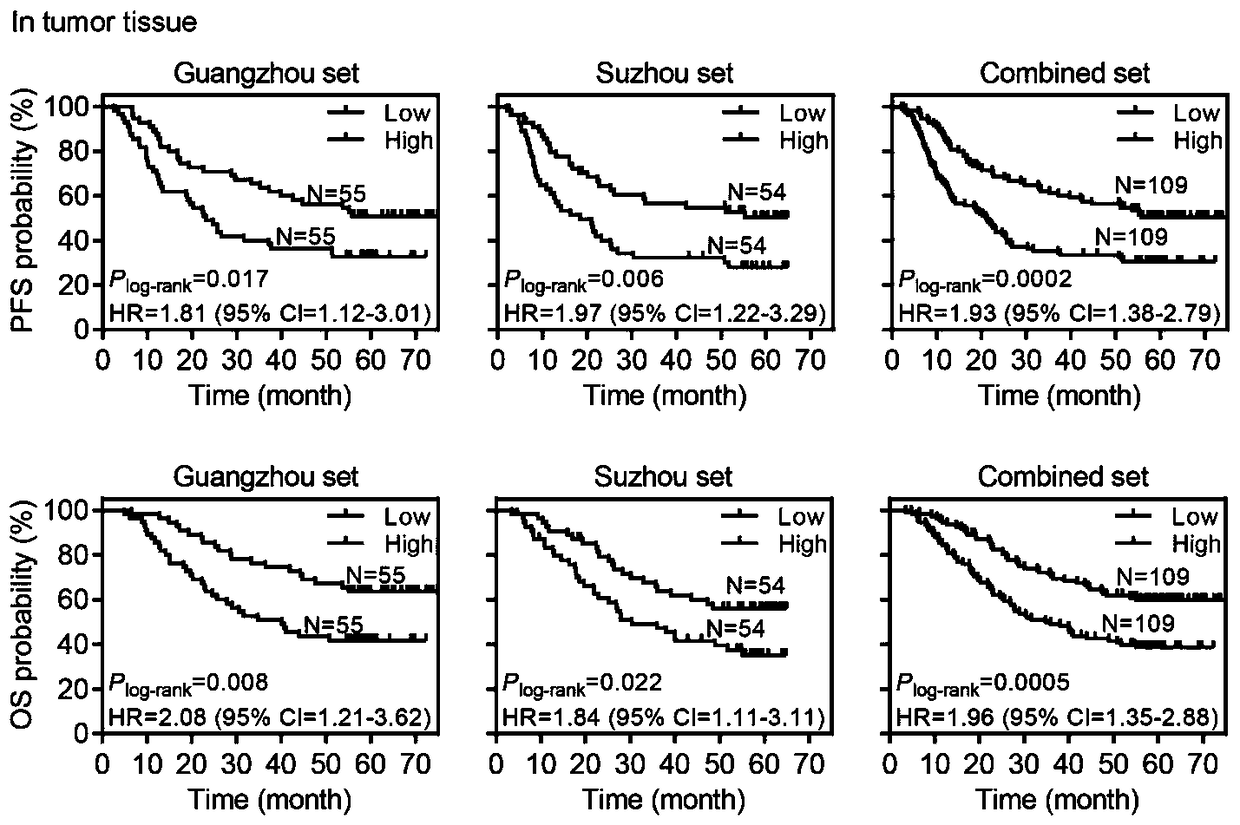 Applications of piRNA-54265 in diagnosis, treatment, and prognostic evaluation of colorectal cancer