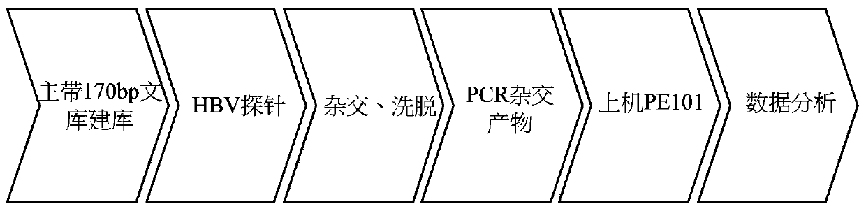 Virus integration site capture sequencing analysis method