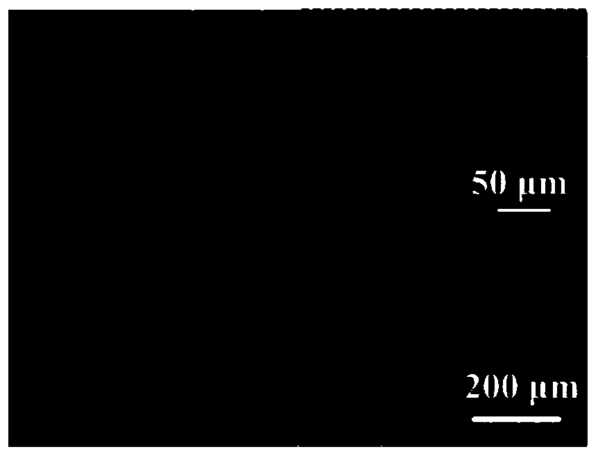 Cellulose porous membrane, and preparation method thereof