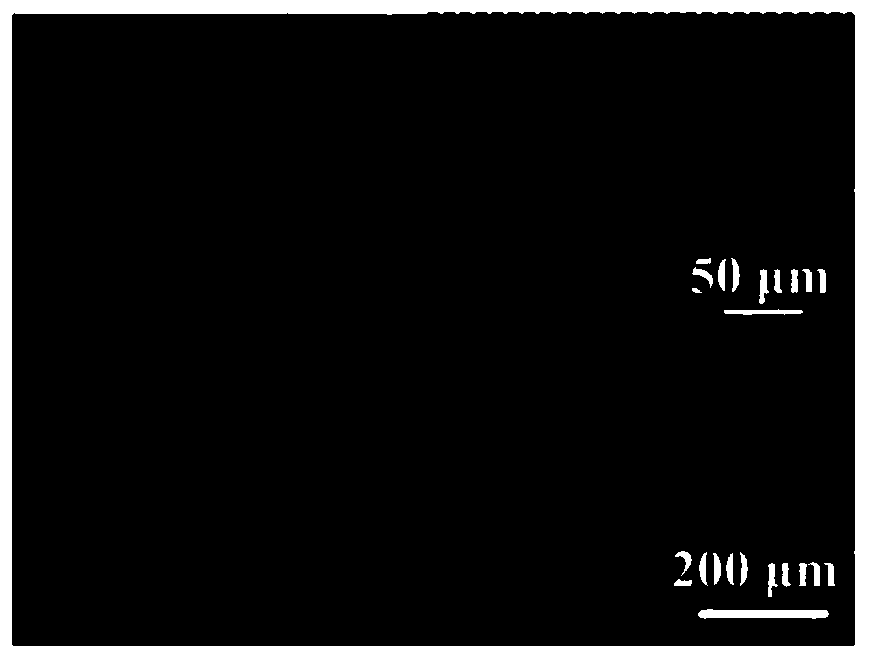 Cellulose porous membrane, and preparation method thereof