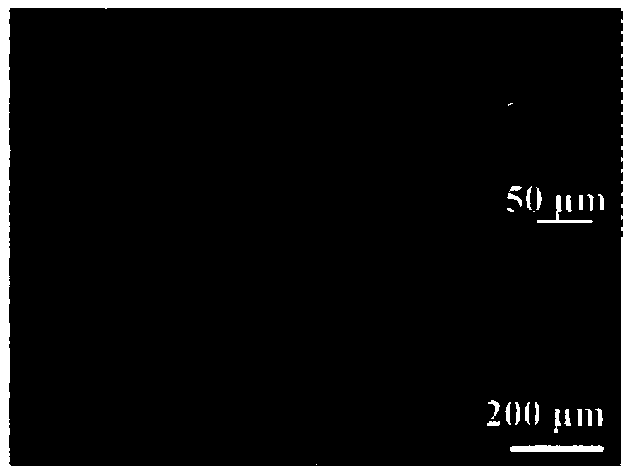 Cellulose porous membrane, and preparation method thereof