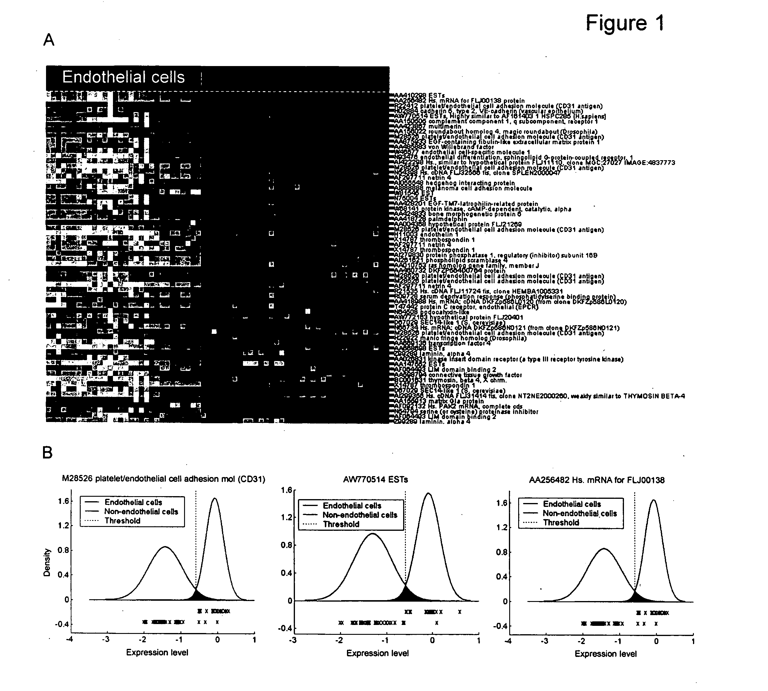 Endothelial cell markers and related reagents and methods of use thereof