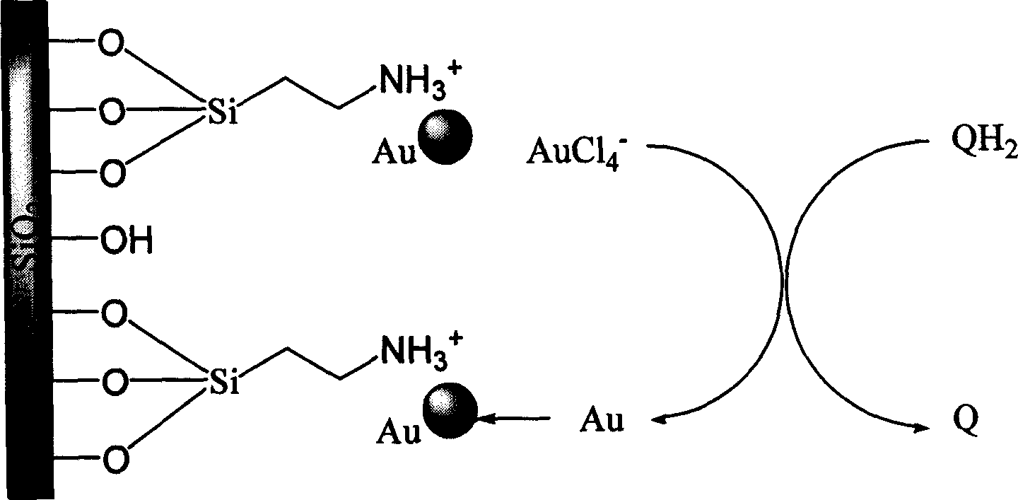 Nano sensor for detecting phenolic substance and its detecting method