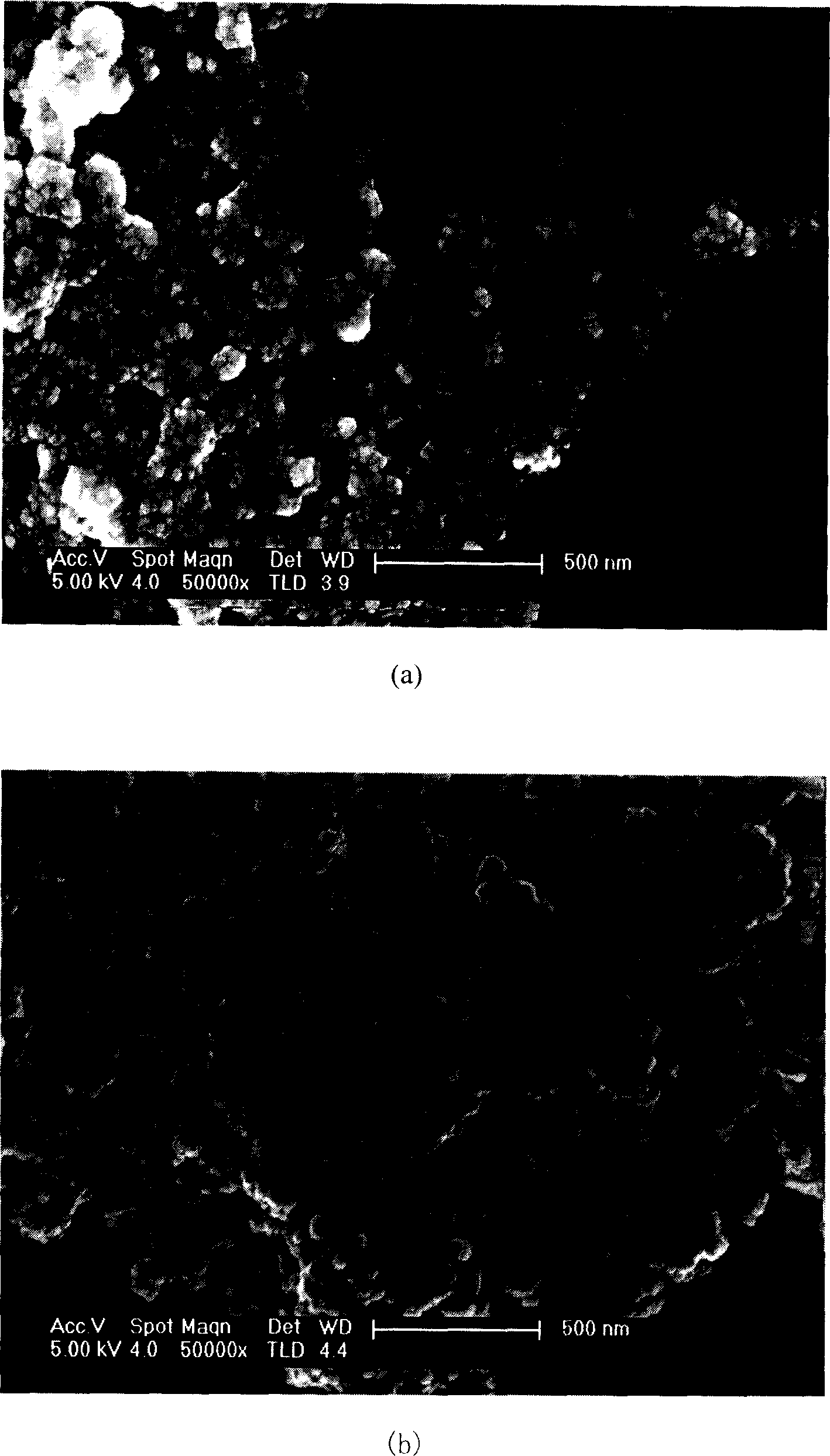 Nano sensor for detecting phenolic substance and its detecting method