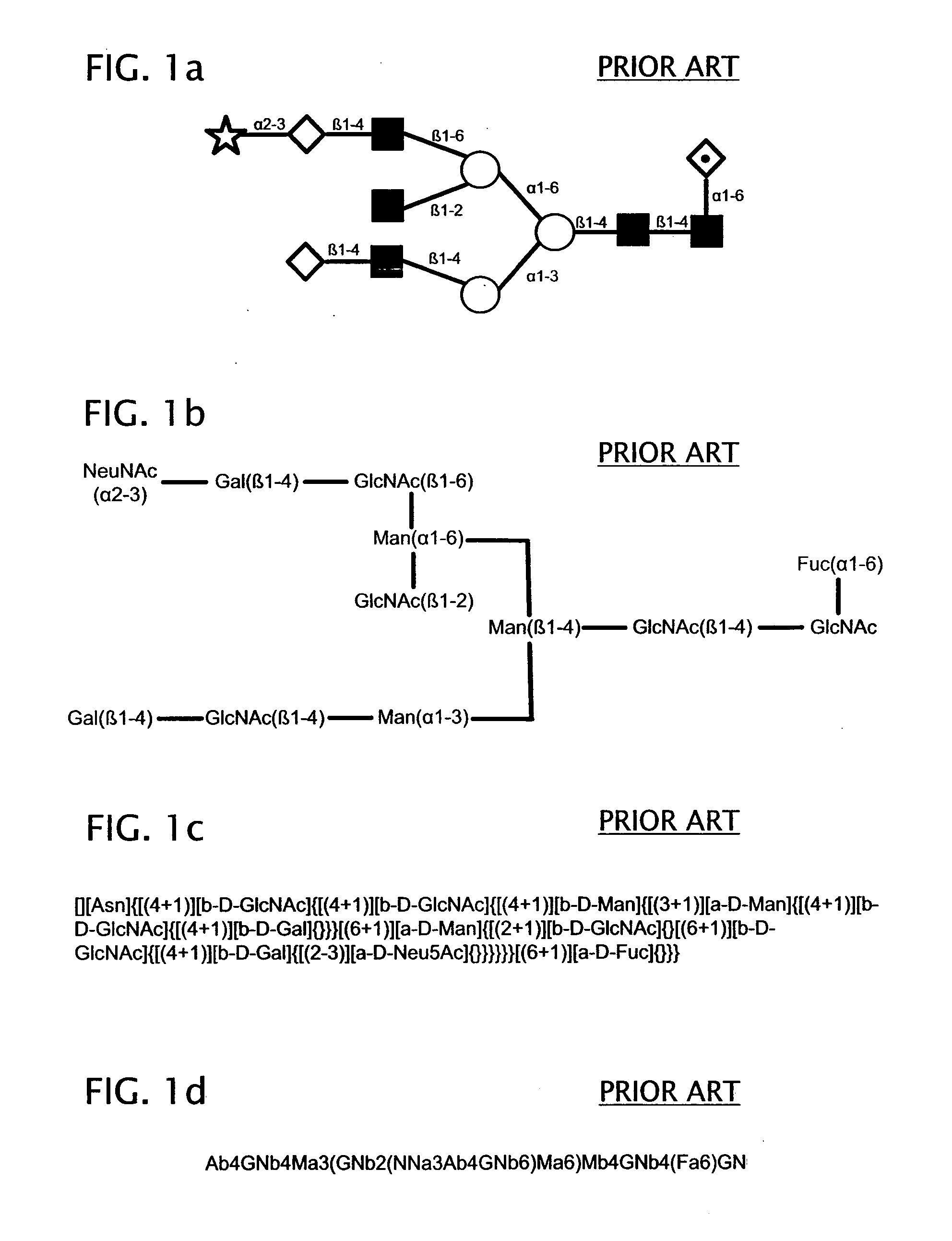 System and method for representing n-linked glycan structures