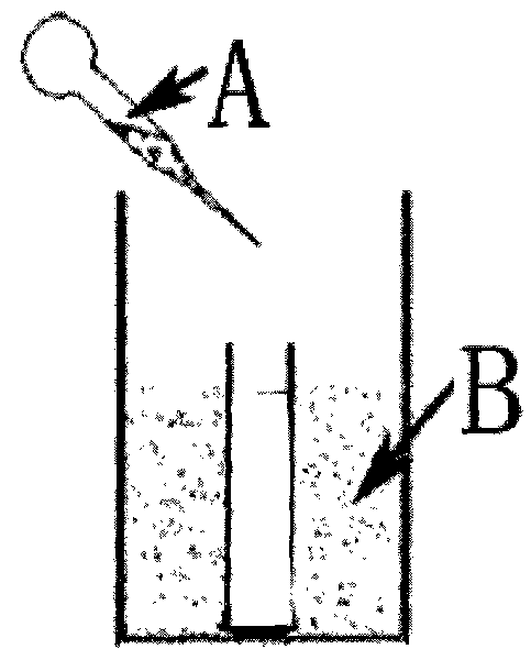 Method for preparing metal organic framework film